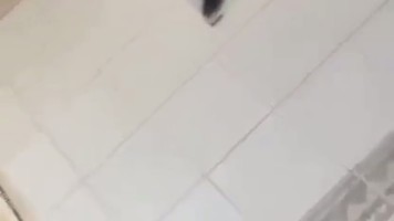 Bokep Premium Indo Walawe Pasangan Remaja Abg Mesum di Kamar Mandi